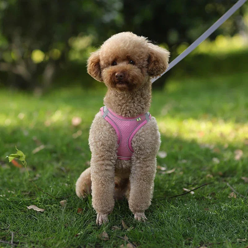 Puppy Harness Set Dog Accessories Adjustable Puppy and Cat Harness Vest French Bulldog Chihuahua Small Dog Collar Pet Leash Dogs