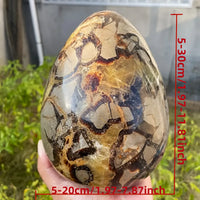 1pc Stunning Turtle Back Stone Egg Shape Dragon Crystal Crack , Home Decoration Ornament, Holiday Party Decorations, DIY