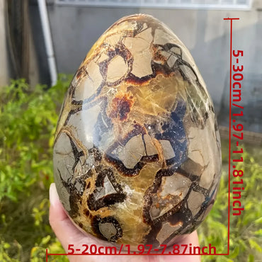 1pc Stunning Turtle Back Stone Egg Shape Dragon Crystal Crack , Home Decoration Ornament, Holiday Party Decorations, DIY