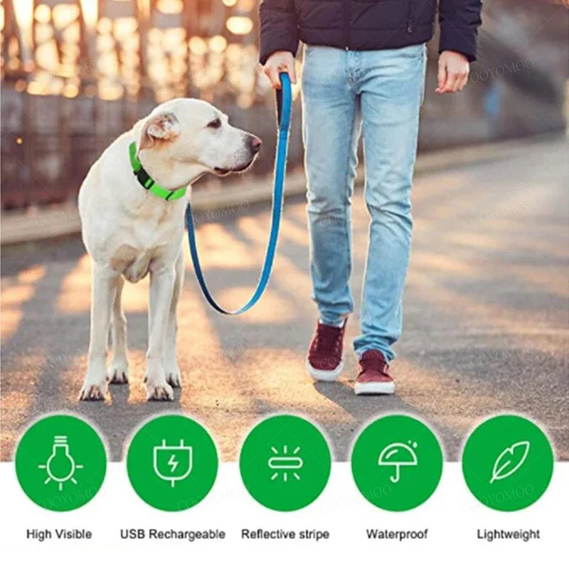 3 Modes Dog Luminous Charge Collar Led Usb Dogs Collars Detachable Night Led Glow Dog Loss Prevention Collar Pet Accessories