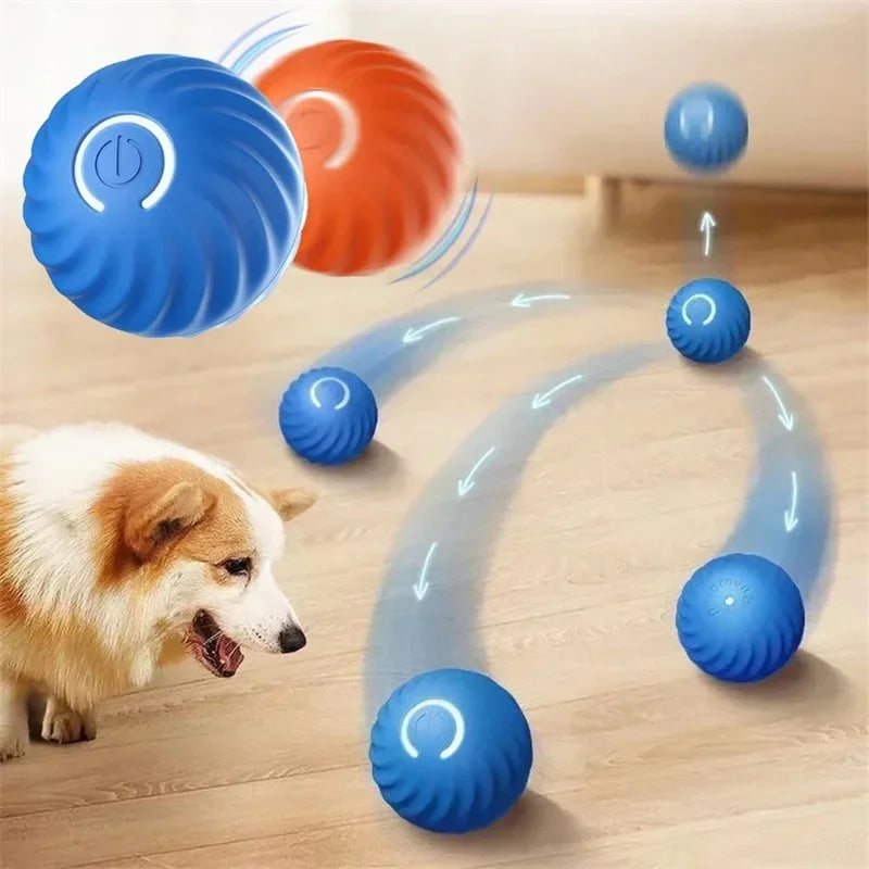 Pet Supplies